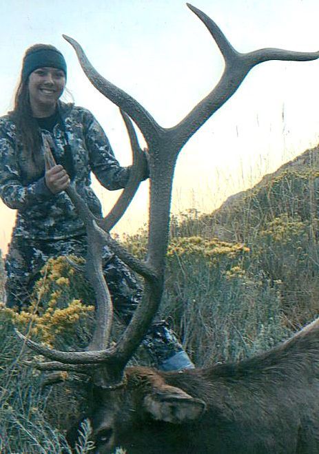 Parker elk